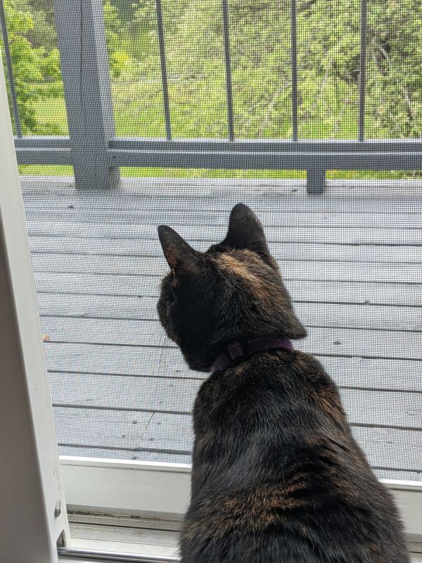 Pet Screen Installation on Doors